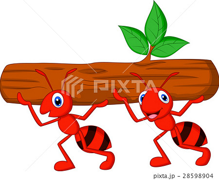 Team of ants carries log Team of ants carries log 28598904