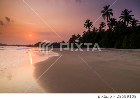 Tropical sandy beach with palm trees at sunset Tropical sandy beach with palm trees at sunset 28599108