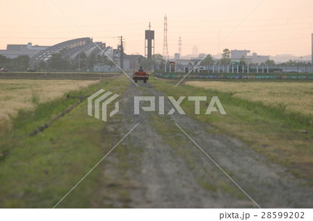 家路につくトラクター 家路につくトラクター 28599202