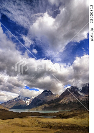 パタゴニア  パタゴニア  28600312