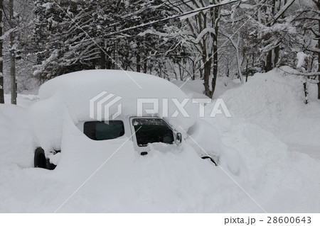 白馬五竜の雪景色 28600643