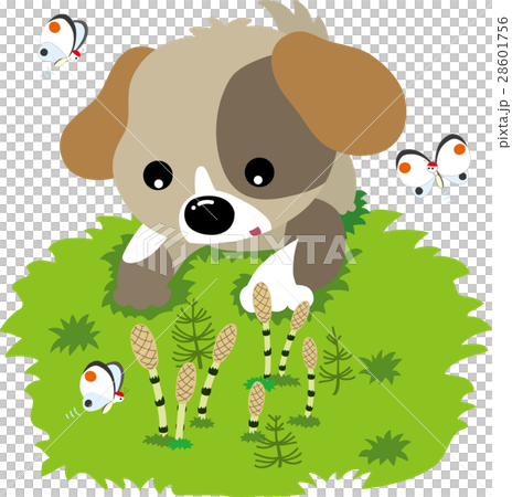 つくしと子犬 28601756