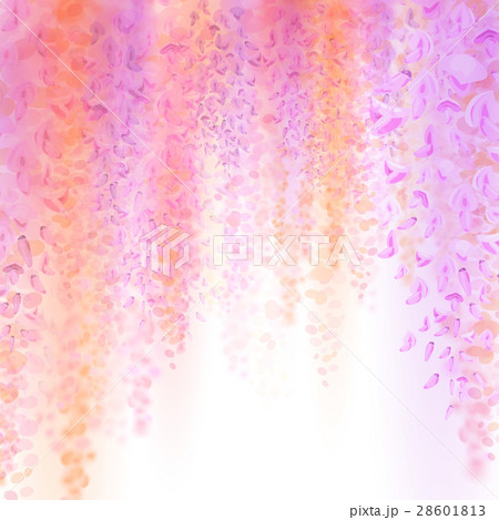 Spring background with blooming wisteria Spring background with blooming wisteria 28601813
