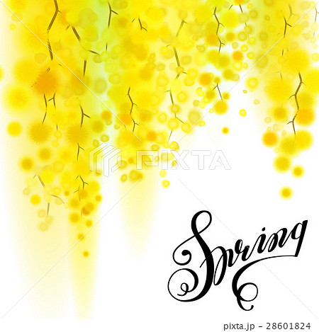 Yellow mimosa spring flowers vertical garland on 28601824