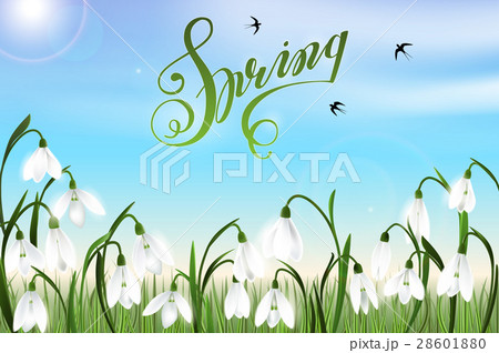 Spring background 28601880