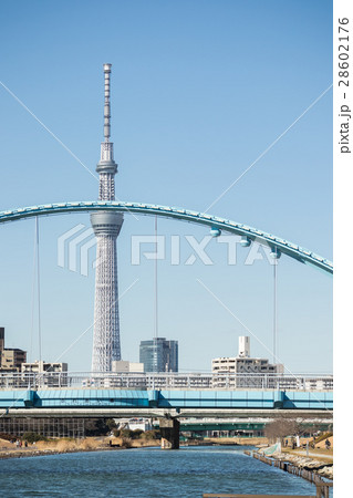 東京スカイツリーとふれあい橋　旧中川 28602176