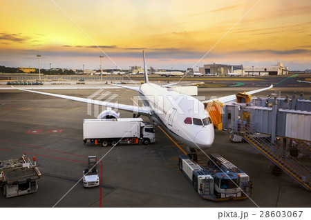 Loading cargo on the plane in airport Loading cargo on the plane in airport 28603067