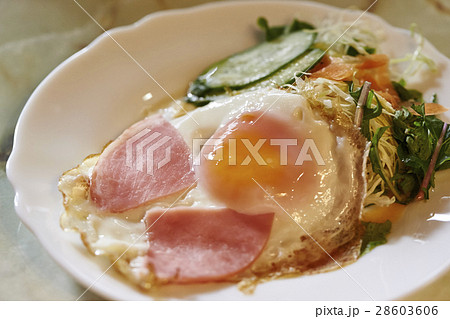 ハムエッグ ハムエッグ 28603606