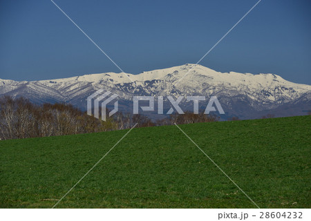 早春の北海道せたな町の残雪の狩場山と手前に緑の牧草地を配し撮影 28604232