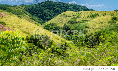 Teletubbies Hill, Nusa Penida Island, Bali 28604356