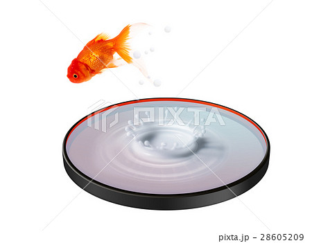 和盆に入った水 飛び出す金魚のイラスト素材