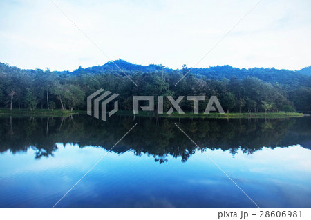 River in forest with a daytime. 28606981