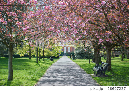 イギリス 英国 イングランド 28607227