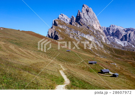Seceda. Dolomites 28607972