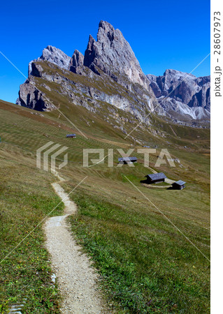 Seceda. Dolomites Seceda. Dolomites 28607973