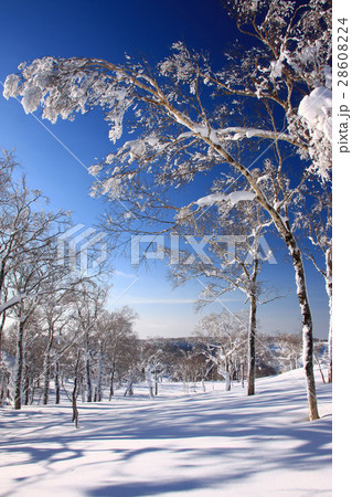朝の雪原～蓬莱山の冬景色 28608224