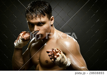 street fighter 28608893