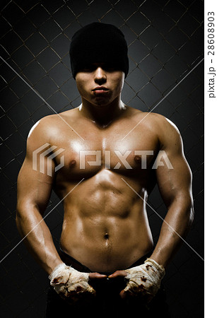 street fighter 28608903