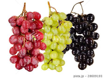 grapes grapes 28609193