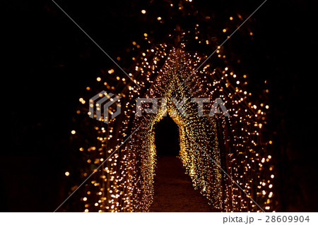 Path under the arch of yellow lamps leads through 28609904