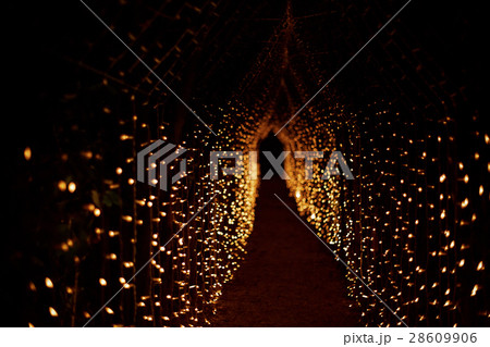 Path under the arch of yellow lamps leads through 28609906