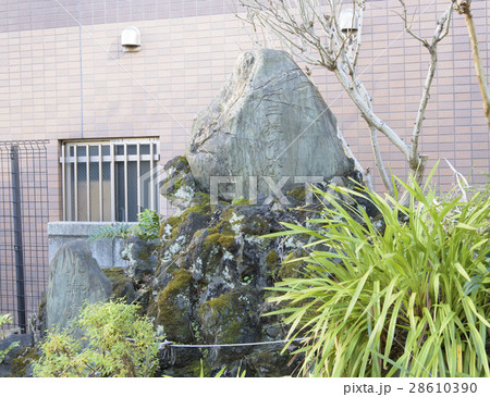 神田須田町の柳森稲荷神社にある富士塚（神田柳森富士） 28610390