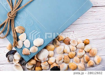 Different kinds of shells lie on blue box 28612602