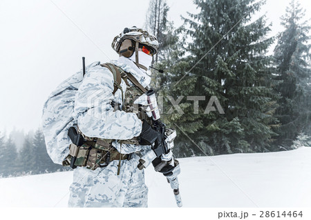 Winter arctic warfare 28614464