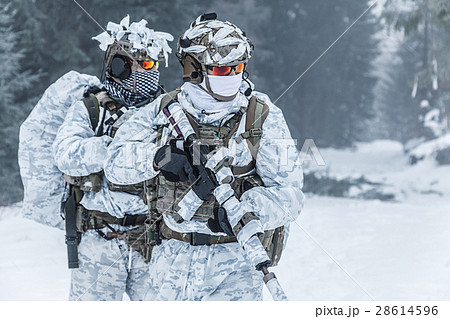 somewhere above the Arctic Circle somewhere above the Arctic Circle 28614596