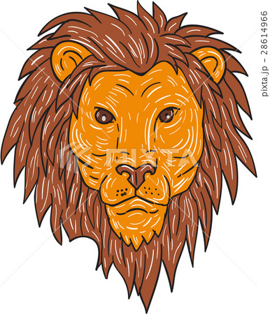 Male Lion Big Cat Head Drawing Male Lion Big Cat Head Drawing 28614966