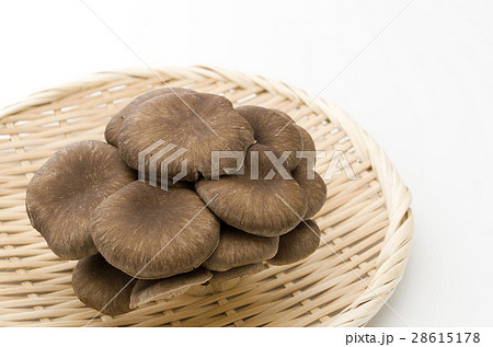 ひらたけ 28615178