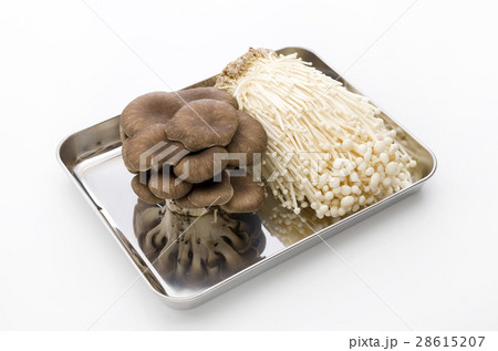 エノキとひらたけ 28615207