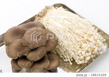 エノキとひらたけ エノキとひらたけ 28615209