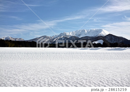 大山町豊房から見た冬の大山 28615259