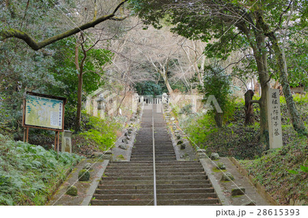 【小野妹子墓】 大阪府南河内郡太子町山田 28615393