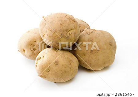 ジャガイモ ジャガイモ 28615457