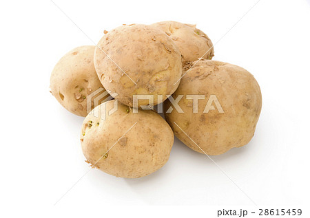 ジャガイモ ジャガイモ 28615459