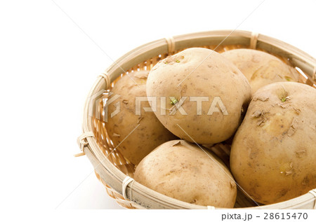 ジャガイモ 28615470