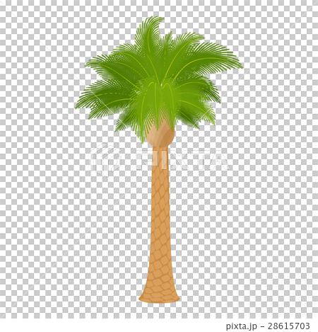 Hardwood palm icon, cartoon style Hardwood palm icon, cartoon style 28615703