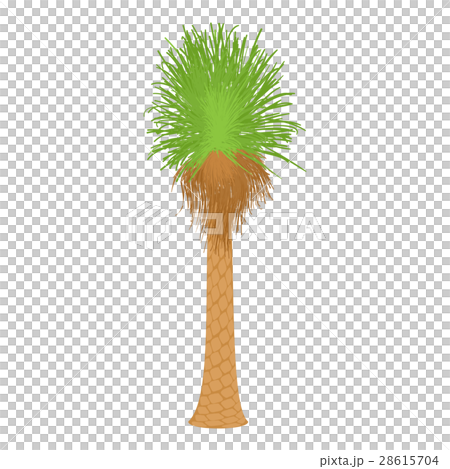 Coconut palm icon, cartoon style Coconut palm icon, cartoon style 28615704
