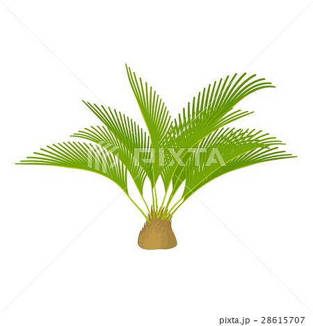 Small palm tree icon, cartoon style Small palm tree icon, cartoon style 28615707