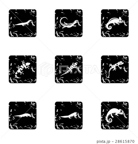 Chameleon icons set, grunge style 28615870