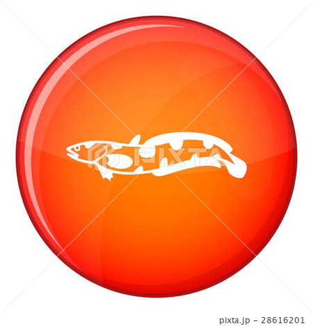 Anarhichas fish icon, flat style 28616201