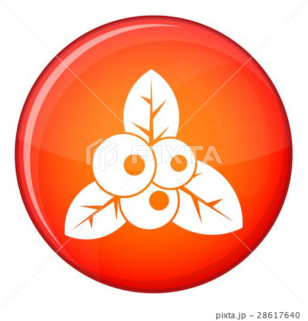 Cranberry icon, flat style Cranberry icon, flat style 28617640