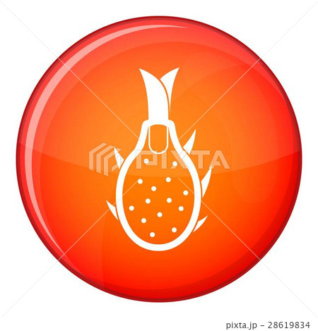 Dragon fruit icon, flat style 28619834