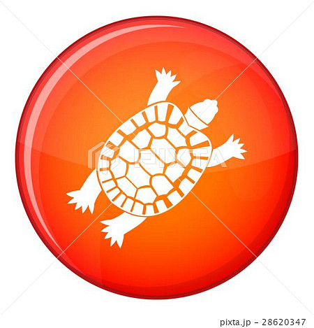 Turtle icon, flat style Turtle icon, flat style 28620347