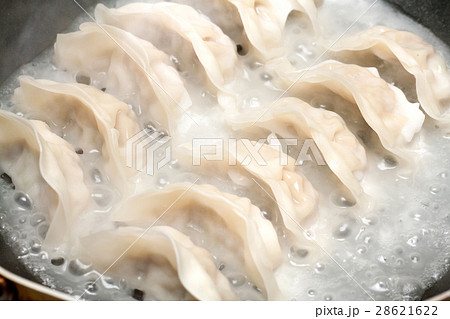 餃子 餃子 28621622