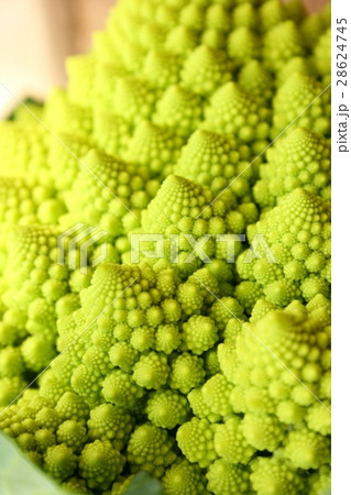 ロマネスコ ロマネスコ 28624745