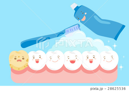 cartoon clean tooth cartoon clean tooth 28625536