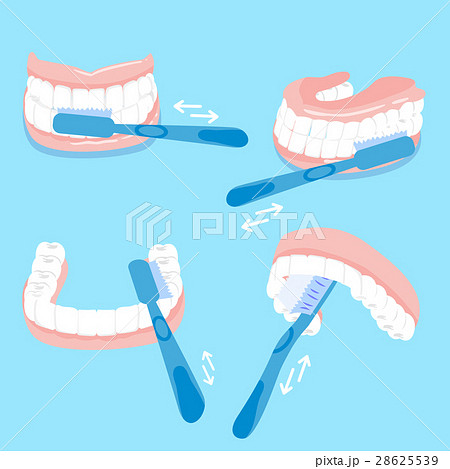 how to brush tooth 28625539